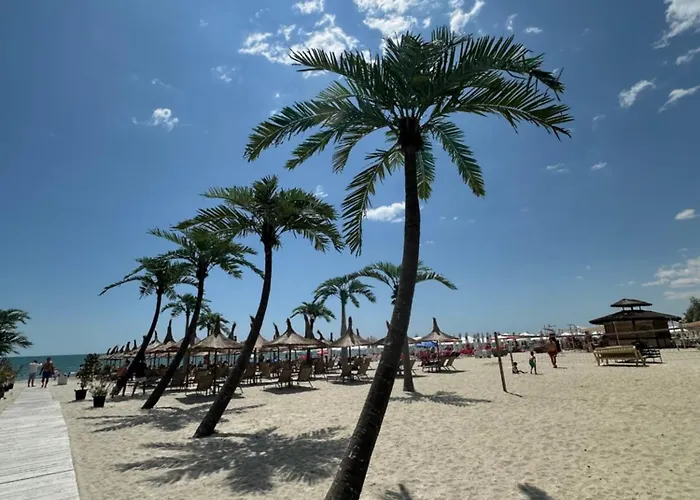 Anias Front View Of The Black Sea 48c Năvodari