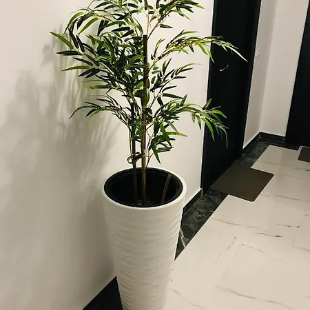 Anias Front View Of The Black Sea 48c Apartment