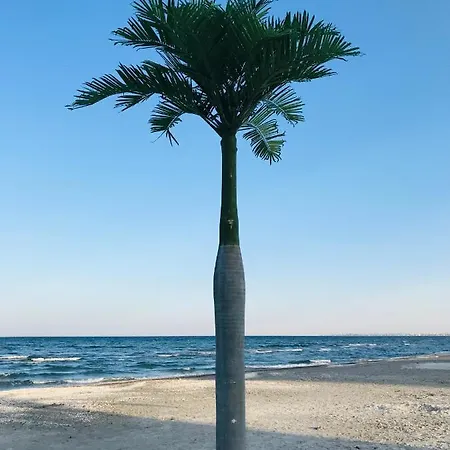 Apartament Anias Front View Of The Black Sea 48c